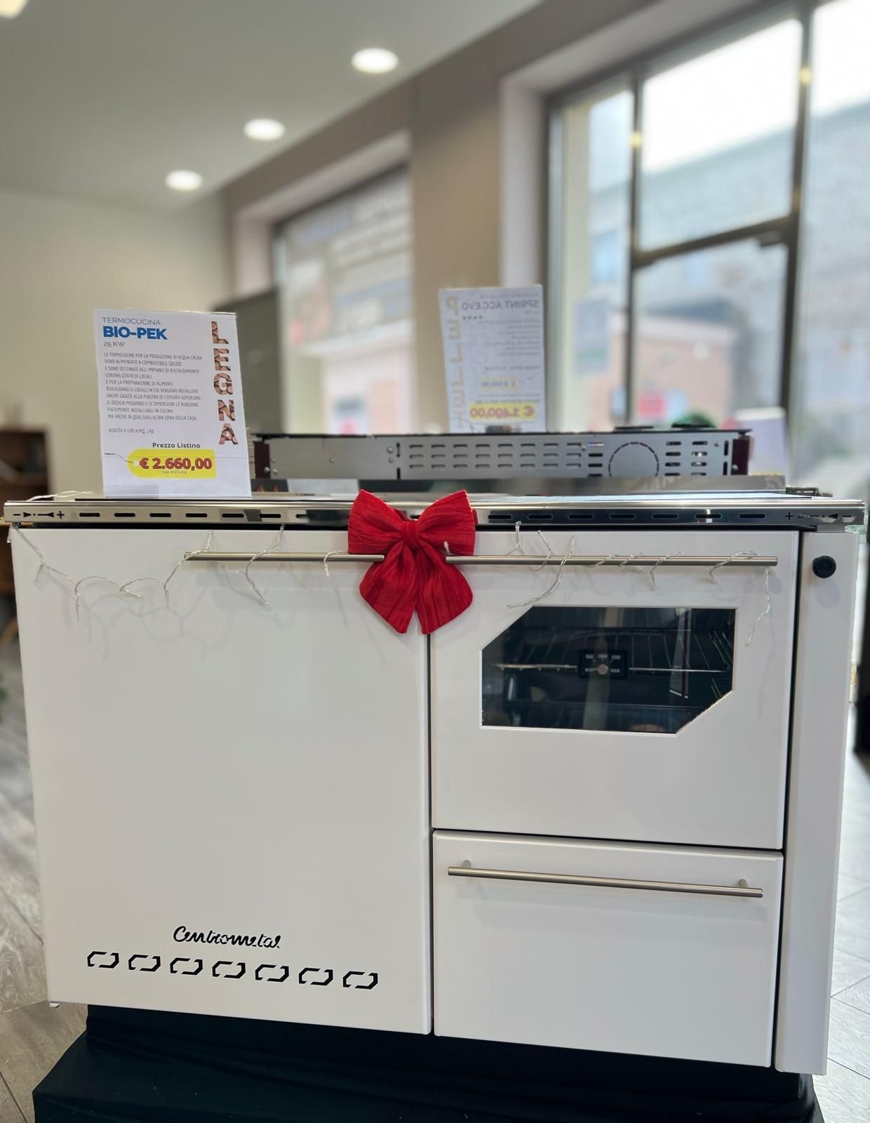 Termocucina BIOPEK 25 kW